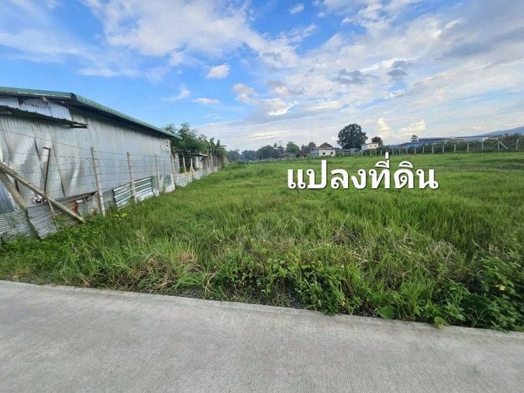 ใช่ ที่ดินใกล้มหาลัยแม่โจ้ เจ้าของขายเอง รูปที่ 3