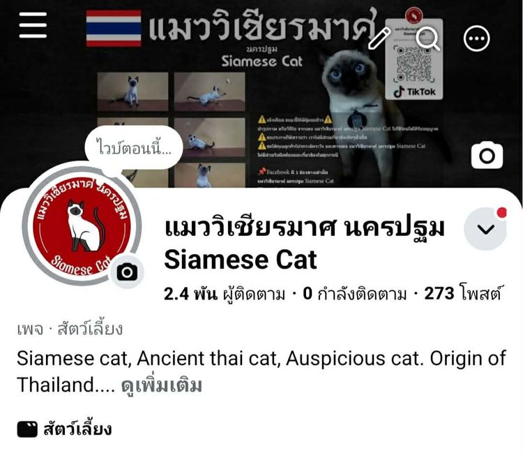 แมววิเชียรมาศ เพศเมีย รูปที่ 4