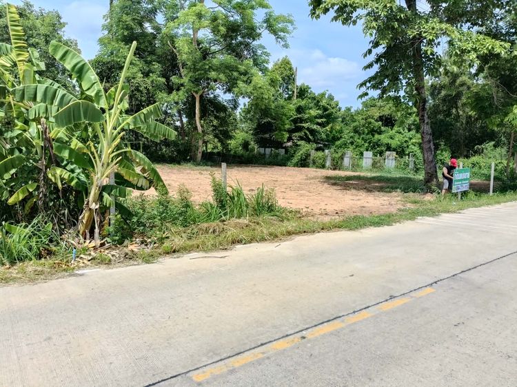 ขายที่ดิน รูปที่ 4