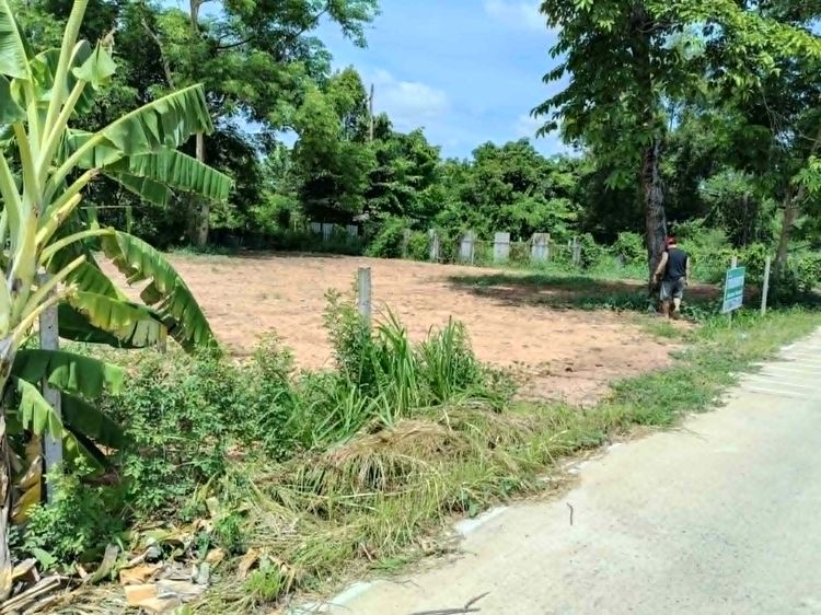 ขายที่ดิน