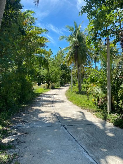 Land for Sale in Khanom – Mountain View – 1,822 sqm รูปที่ 3