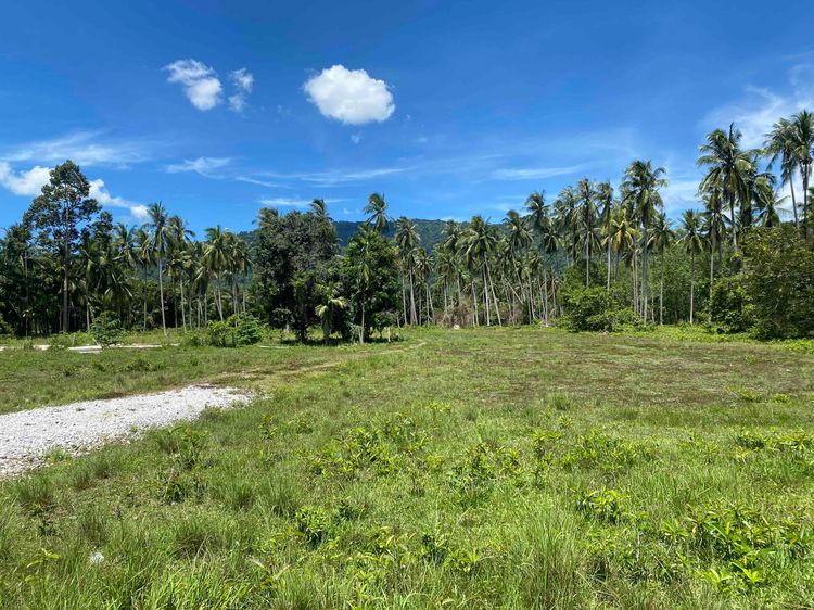 Land for Sale in Khanom – Mountain View – 1,822 sqm