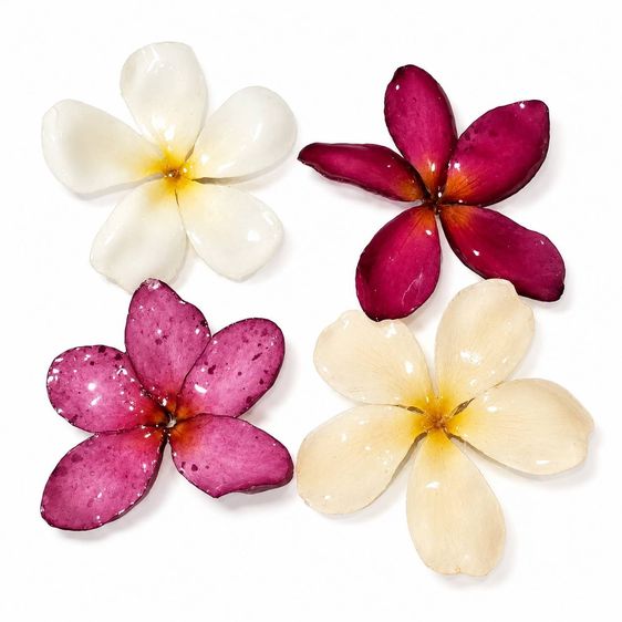 ดอกลีลาวดี เครื่องประดับ รูปที่ 10