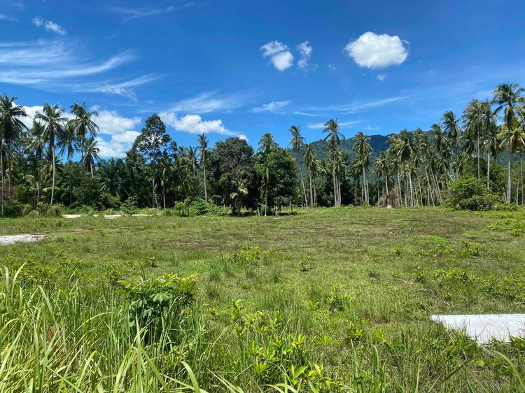 Land for Sale Khanom – Mountain View – 1,954 sqm
