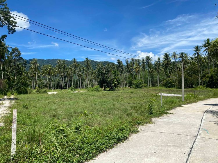 Land for Sale Khanom – Mountain View – 1,422 sqm รูปที่ 2