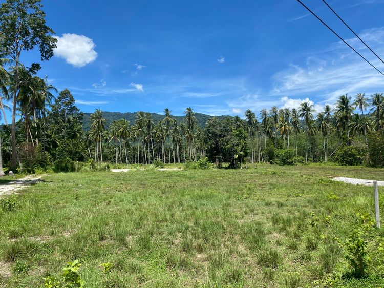 Land for Sale Khanom – Mountain View – 1,422 sqm
