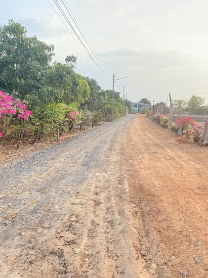 ที่ดินใกล้ชุมชนติดริมแม่น้ำ รูปที่ 3
