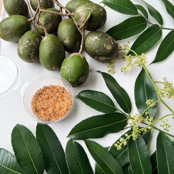 ขายมะมะกอกฝรั่ง กิโล 50 รูปที่ 4
