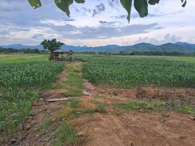 ขายที่ดินวิวสวย จังหวัดแพร่ เหมาะสร้างที่พักอาศัย ทำสวนการเกษตร ขายที่ดินแพร่ ขายที่ดินแพร่ ขายที่ดินแพร่ ขายที่ดินแพร่ ขายที่แพร่ ขายที่ดิน
