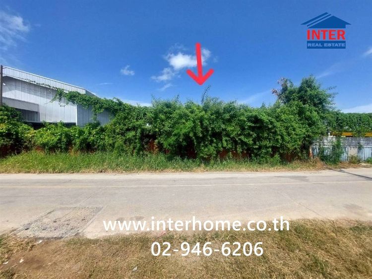 ที่ดินเปล่า 215 ตร.ว. ที่ดินเปล่า ตรงข้ามโรงพยาบาลจุฬารัตน์ 3 อินเตอร์ ซอยกู้พาราฝั่งใต้ ถนนเทพารักษ์ บางพลี สมุทรปราการ รูปที่ 2