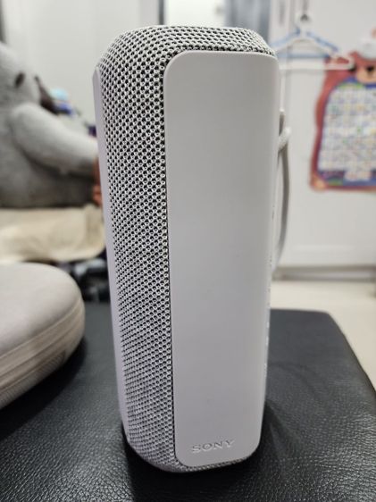 Sony SRS-XE200