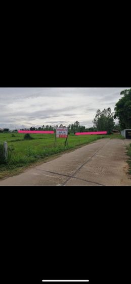 ขายที่ดินสวยในตัวเมือง จ.บึงกาฬ