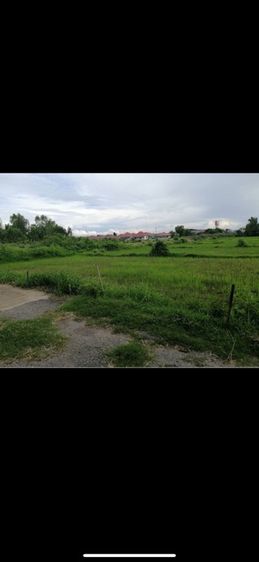 ใช่ ขายที่ดินสวยในตัวเมือง จ.บึงกาฬ รูปที่ 2
