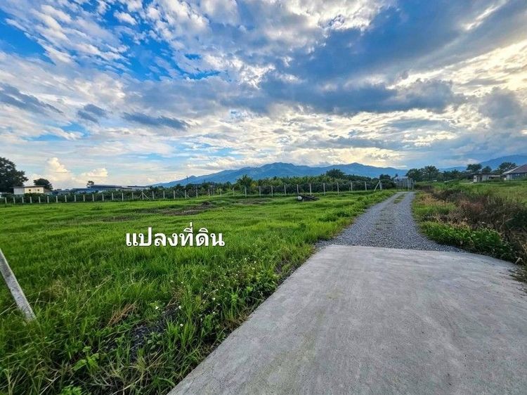 ใช่ ที่ดินใกล้มหาลัยแม่โจ้ เจ้าของขายเอง รูปที่ 4