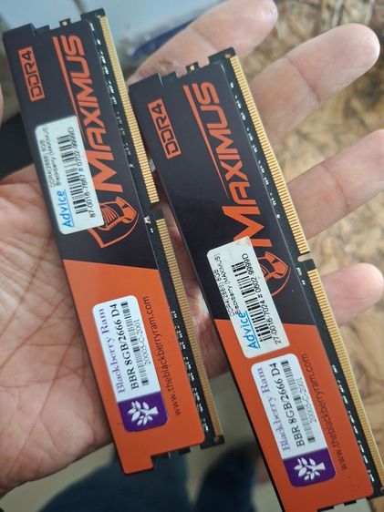 ที่เก็บข้อมูลและเมมโมรี่การ์ด RAM DDR4(2666) 8GB  BLACKBERRY