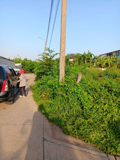 ให้เช่าที่ดิน