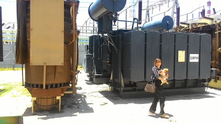 ((((BKD))))transformer  รับซื้อ ขาย หม้อแปลงไฟฟ้า3เฟส มือสอง ราคาสูง เก่า เสีย ชำรุด ทุกสภาพ ทุกขนาด ทั่วประเทศในราคาสูงสุด รูปที่ 18