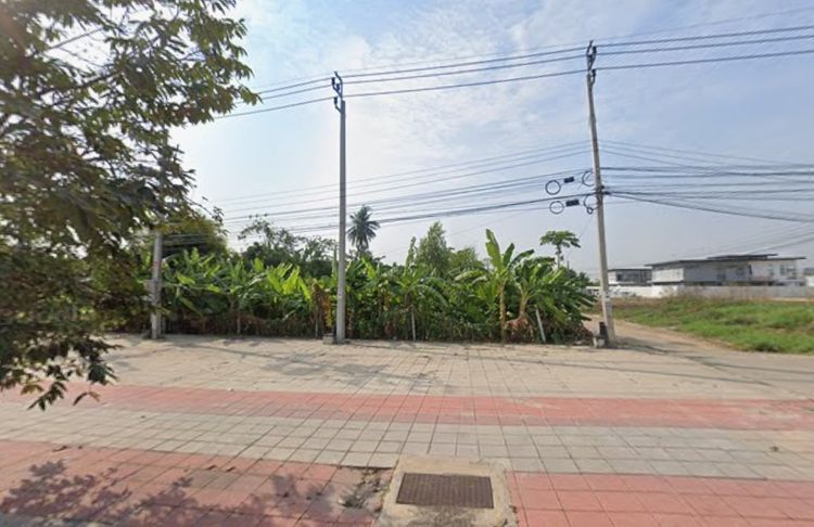 ขายด่วน ที่ดินขนาด 1ไร่ 65ตร.ว. เส้นพรานนก–พุทธมณฑลสาย 4 ตัดกาญจนาภิเษก แปลงติดถนนใหญ่ ใกล้ส่วนสาธารณะ ทำเลที่กำลังเติบโตอย่างต่อเนื่อง รูปที่ 4