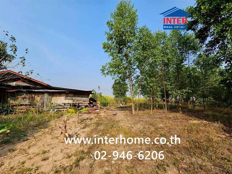 ที่ดินเปล่า 800 ตร.ว. บ้านหนองบอนหมู่ 8 ถนนเยื้องวัดหงษ์พวงเทวา ถนน3462 เมืองสระแก้ว สระแก้ว รูปที่ 4
