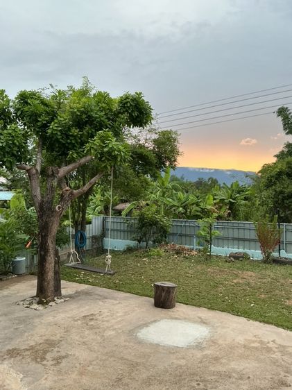 อื่นๆ มีบางส่วน 2018 ใช่ ขายบ้านพร้อมที่ดิน 200ตรว. อำเภอภูกระดึง รูปที่ 4