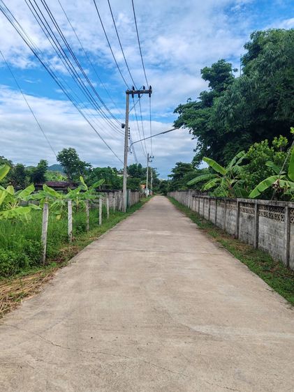 ขายยกแปลง ที่ดินทำเลทอง 2 โฉนดใกล้เมืองแพร่ รวม 4 ไร่กว่า รูปที่ 3
