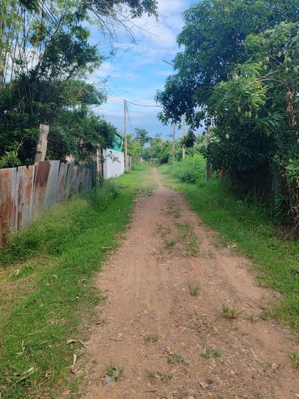ขายยกแปลง ที่ดินทำเลทอง 2 โฉนดใกล้เมืองแพร่ รวม 4 ไร่กว่า รูปที่ 2