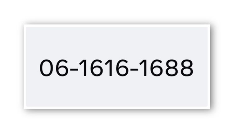 06-1616-1688