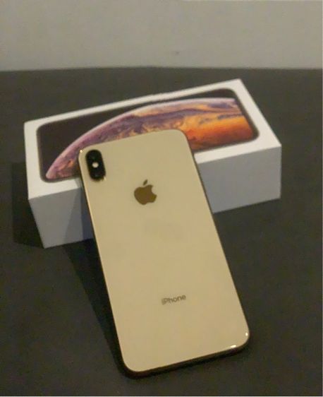 Xs Max 256 GB