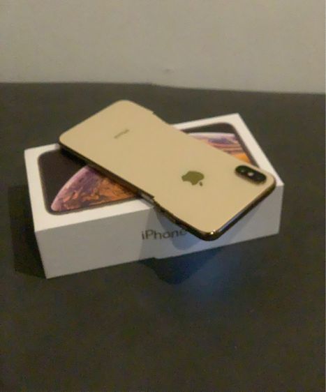 Xs Max 256 GB