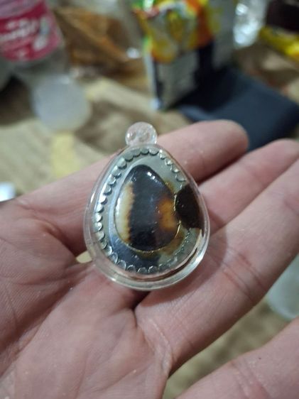 เบี้ยแก้ หลวงพ่อจำเนียร สีลเสฏโฐ สร้างปี 2555 วัดเขาหลาว ราช บุรี รูปที่ 6
