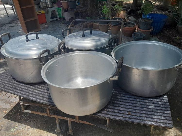 หม้อวัดขนาด 50ซม. ตราจระเข้