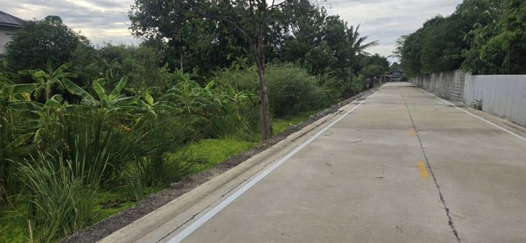 ไม่ใช่ ให้เช่าที่ดินย่านบางใหญ่ ริมน้ำ ซอนกันตนา รูปที่ 3