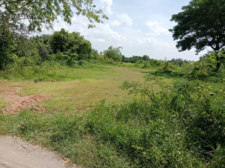 ที่ดินทำเลทอง ใกล้กับ มหาวิทยาลัย วิทยาลัย