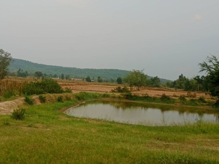 ที่ดินในหุบเขา ภูเวียง ดินแดนไดโนเสาร์ เกือบ ห้าไร่