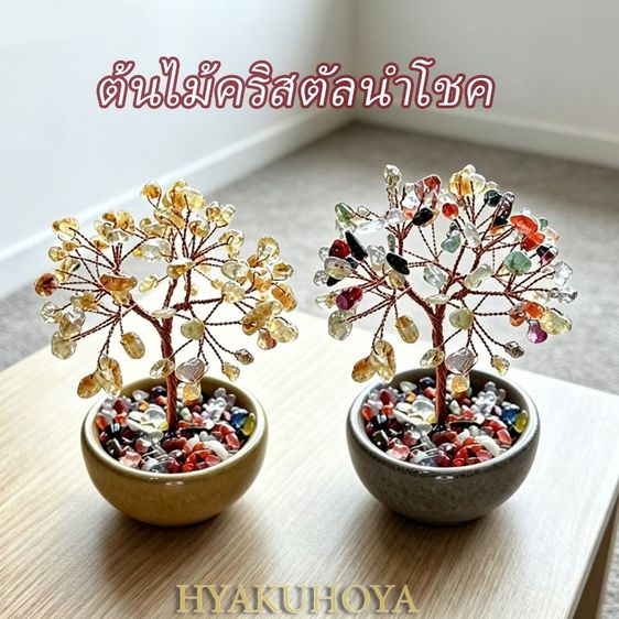 อื่นๆ ต้นไม้มงคล ต้นไม้หินนำโชค เสริมดวงฮวงจุ้ย ของขวัญมงคล เรียกทรัพย์ร่ำรวย สูง 11 CM