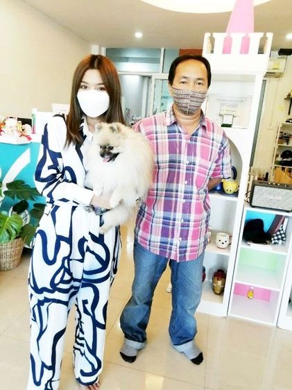 รับจับสุนัขผสมพันธุ์ทุกสายพันธุ์ +1000 รูปที่ 3