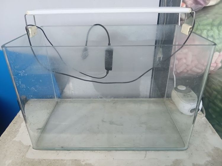 กระจก ตู้ปลาแก้ว 40 ซม. พร้อมไฟ LED ใช้งานปกติตู้ไม่รั่ว ไม่ร้าว ไฟติดปกติ เหมาะเลี้ยงปลากัด กุ้ง หรือจัดไม้น้ำขาย 600 บาท (ต่อรองได้เล็กน้อย)