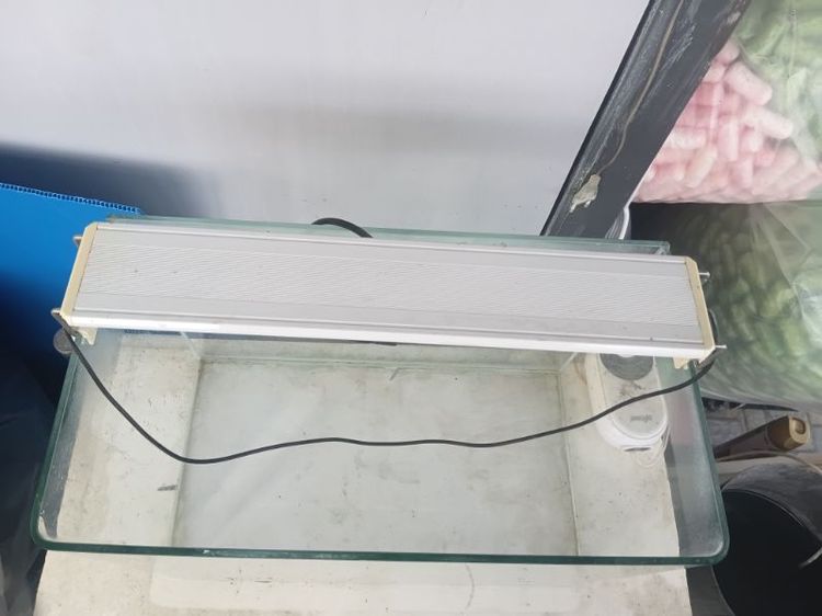 ตู้ปลาแก้ว 40 ซม. พร้อมไฟ LED ใช้งานปกติตู้ไม่รั่ว ไม่ร้าว ไฟติดปกติ เหมาะเลี้ยงปลากัด กุ้ง หรือจัดไม้น้ำขาย 600 บาท (ต่อรองได้เล็กน้อย) รูปที่ 2