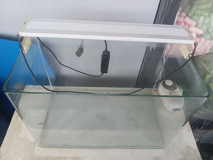 ตู้ปลาแก้ว 40 ซม. พร้อมไฟ LED ใช้งานปกติตู้ไม่รั่ว ไม่ร้าว ไฟติดปกติ เหมาะเลี้ยงปลากัด กุ้ง หรือจัดไม้น้ำขาย 600 บาท (ต่อรองได้เล็กน้อย) รูปที่ 3