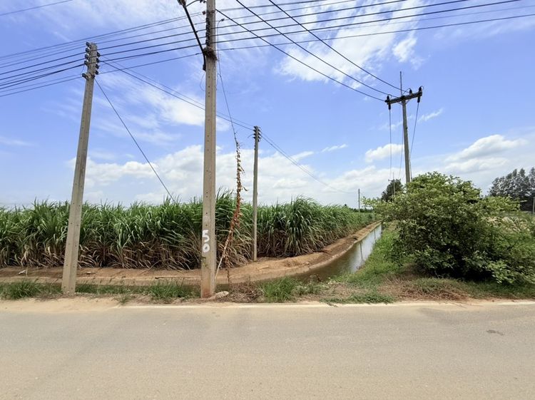 ที่ดินสวยทำเลดีติดถนน ติดคลอง2ฝั่ง รูปที่ 4