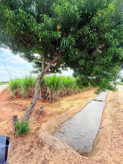ที่ดินสวยทำเลดีติดถนน ติดคลอง2ฝั่ง