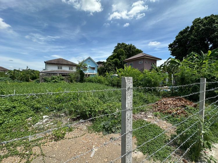 ขายที่ดิน ดอนเมือง สรงประภา 24 ขนาด 69 ตร.วา เหมาะสร้างบ้าน รูปที่ 4