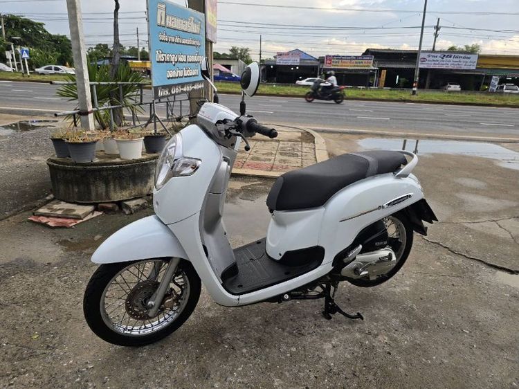 ขายเ่วน honda scoopyปี 2019 รูปที่ 3