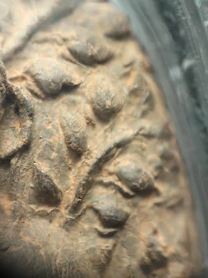 พระเปิมลำพูนเนื้อโทนเขียว รูปที่ 7