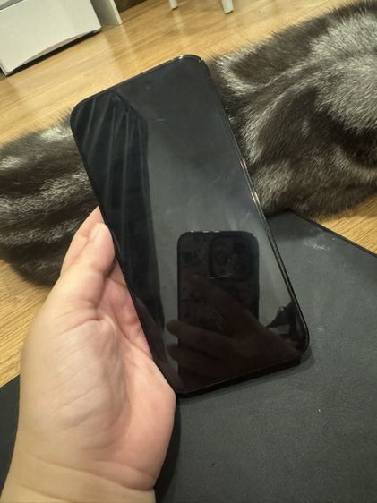 iphone 14 Promax