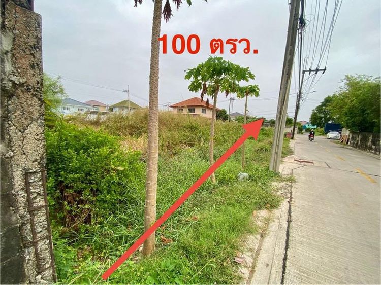 ใช่ ขายที่ดินสวยเลยครับ 100 ตรว พระราม2 บางขุนเทียน กทม รูปที่ 4