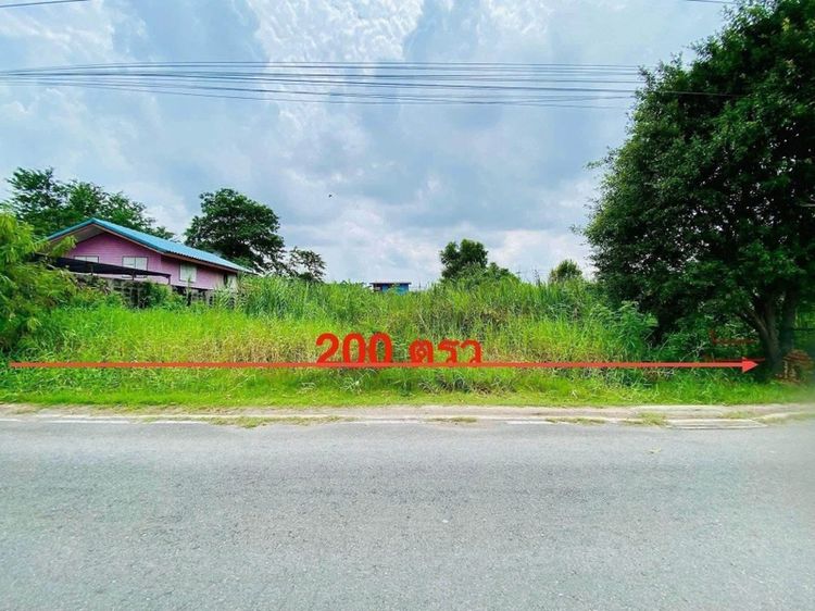 ใช่ ขายครับที่ดินสวยมาก 200 ตรว เจ้าของขายเองครับ ซ.วัดลาดปลาดุก รูปที่ 2