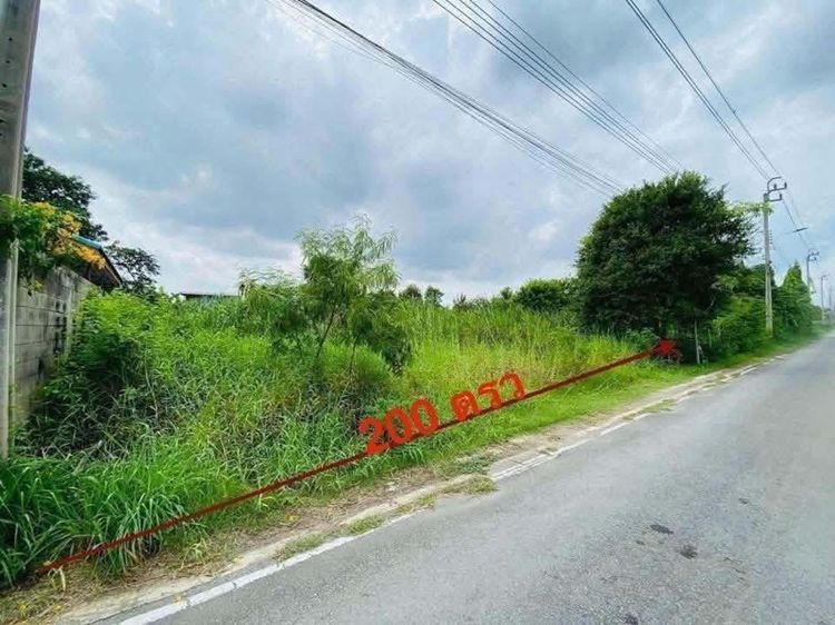 ใช่ ขายครับที่ดินสวยมาก 200 ตรว เจ้าของขายเองครับ ซ.วัดลาดปลาดุก รูปที่ 3