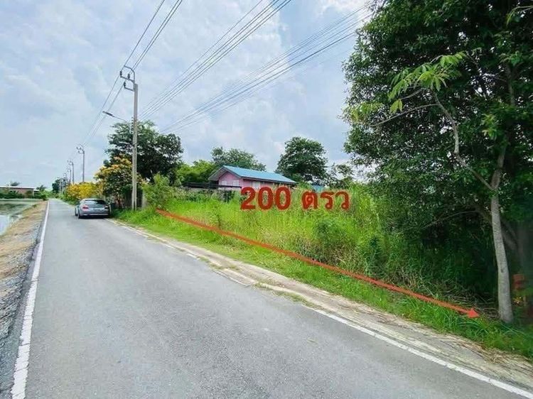 ใช่ ขายครับที่ดินสวยมาก 200 ตรว เจ้าของขายเองครับ ซ.วัดลาดปลาดุก