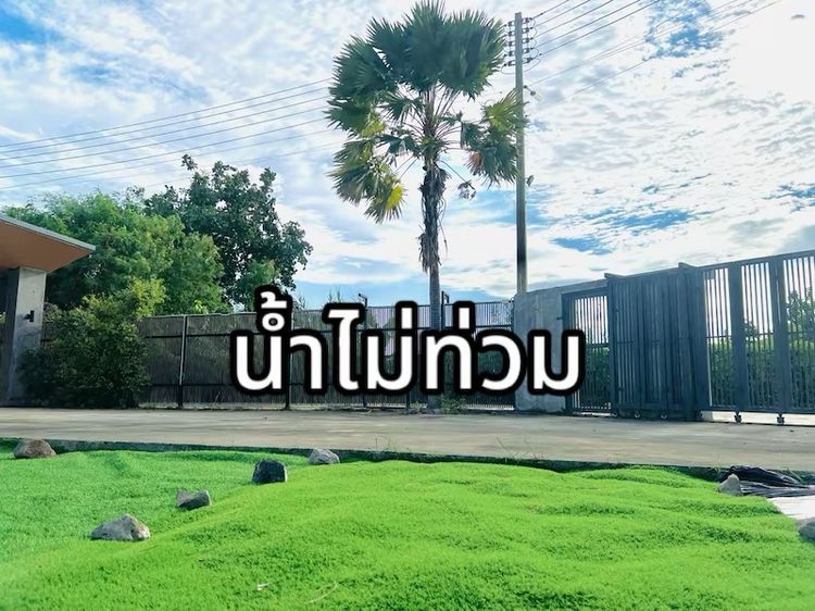 มีบางส่วน 2023 ใช่ ขายบ้านเดี่ยว น้ำไม่ท่วม ทำเลใกล้ตลาด ติดถนน ติดคลอง
